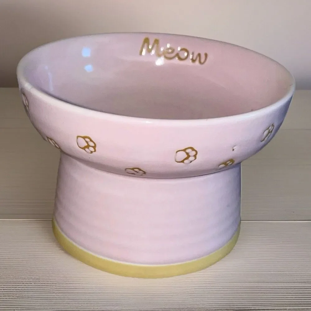 Cat Food Water Bowl Elevated Pedestal Raised Pink Dish Ceramic Blue Sky